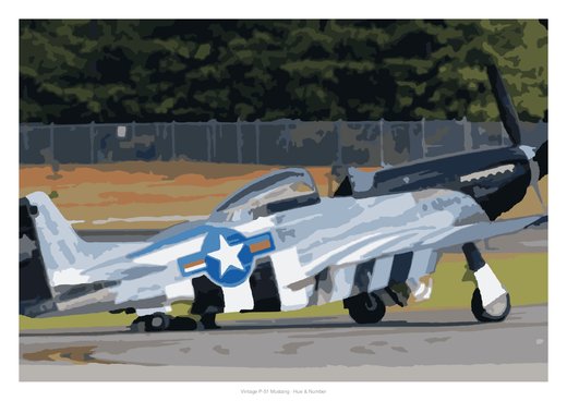 Vintage P-51 Mustang, painted
