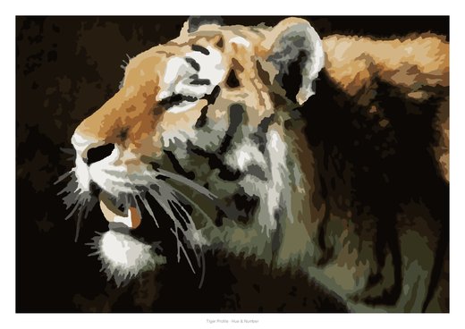 Tiger Profile, painted