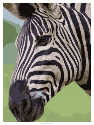 Zebra Portrait, painted