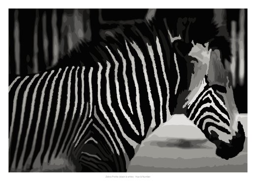 Zebra Profile (black & white), painted