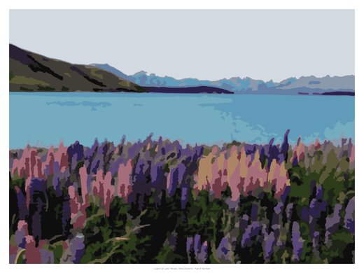 Lupins at Lake Tekapo, New Zealand, painted