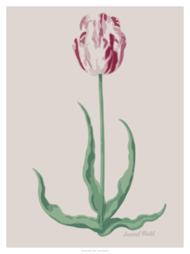 Admiral Tulip (1645), painted