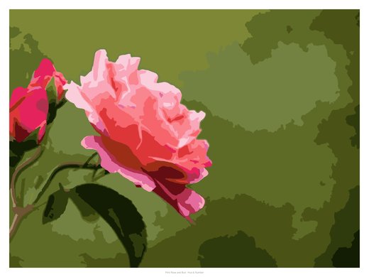 Pink Rose and Bud, painted