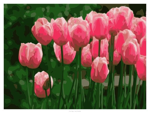 Pink Tulips, painted