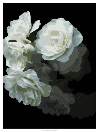 White Roses on Black, painted