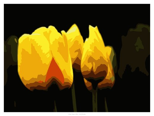 Yellow Tulips on Black, painted