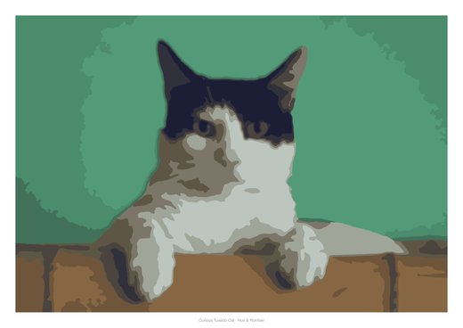 Curious Tuxedo Cat, painted