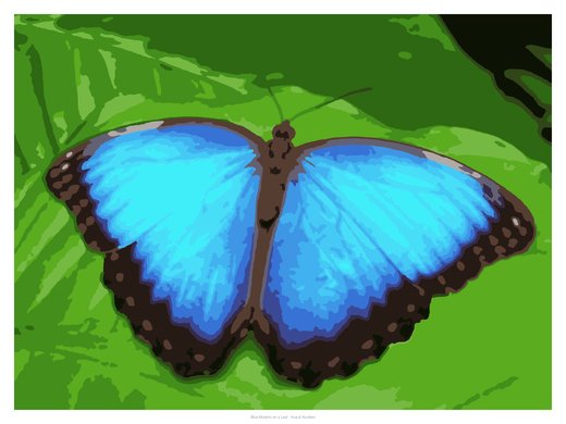 Blue Morpho on a Leaf, painted