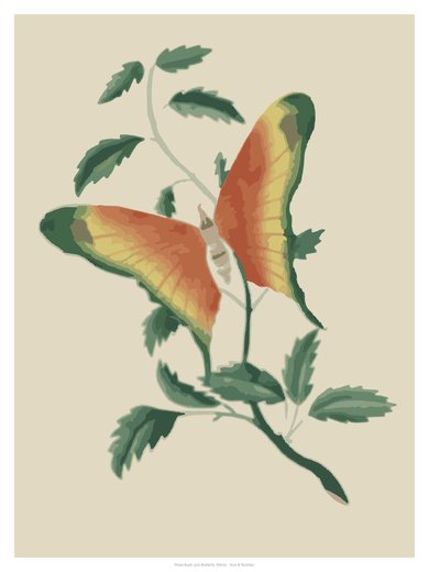 Rose Bush and Butterfly (Nims), painted