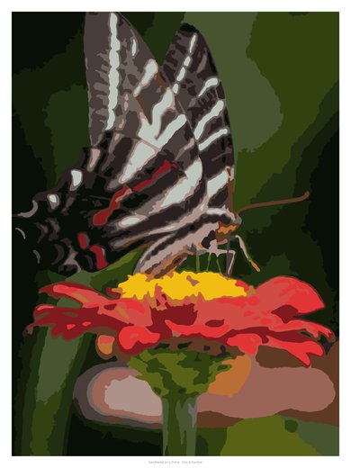 Swallowtail on a Zinnia, painted