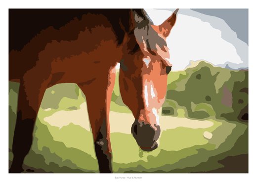 Bay Horse, painted