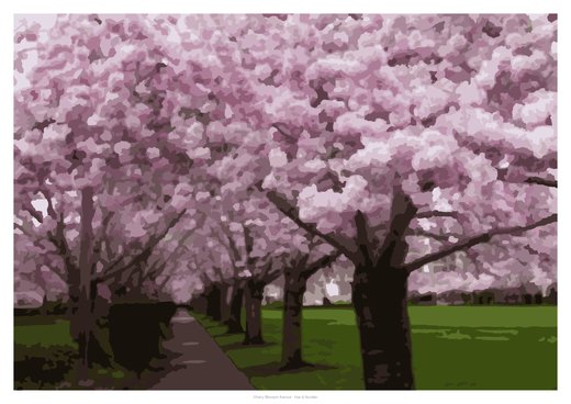 Cherry Blossom Avenue, painted