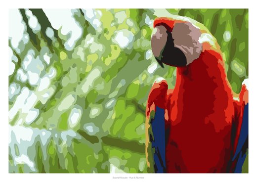 Scarlet Macaw, painted